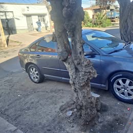 2010 Volvo S40