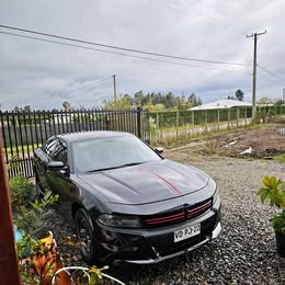 Dodge Charger 2019