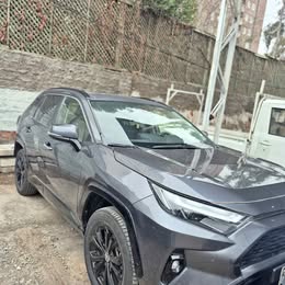 2022 Toyota RAV4 2022 usado