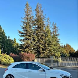 Mercedes Benz A200 2017