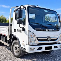 Foton Aumark 2022