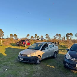 2006 Toyota Yaris 2006 usado