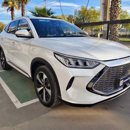 Byd Song 2024