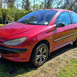 Peugeot 206 2004