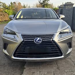 Lexus Nx 2022
