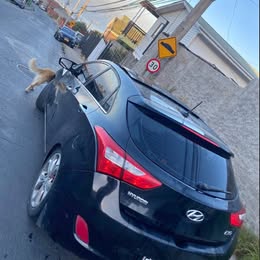 2013 Hyundai i30