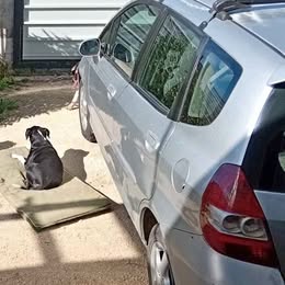 Honda Fit 2006
