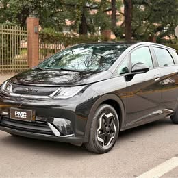 Byd Dolphin 2024