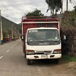 Isuzu Npr 1995