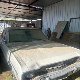 Dodge Dart 1980