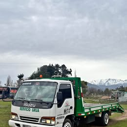 Isuzu Npr 1995