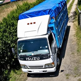 Isuzu Npr 